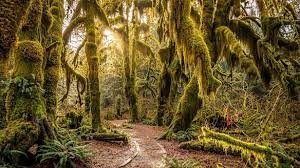 Olympic Peninsula Loop